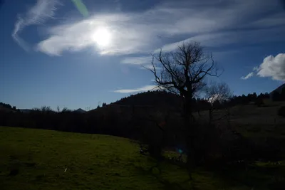 DSC_1068 (Large).JPG